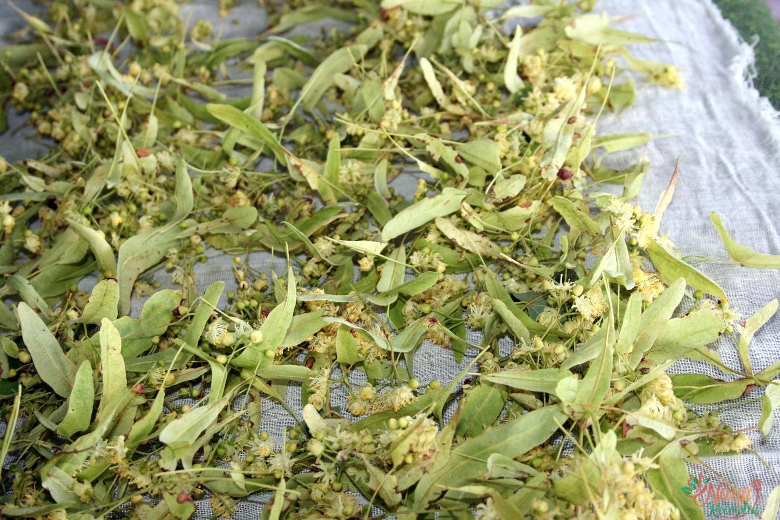 Liepžiedžių arbata